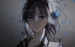 Rule 34 | 1girl, absurdres, angelia (girls&#039; frontline), black hair, blue flower, blueblossom, collared shirt, commentary, english commentary, expressionless, falling petals, flower, girls&#039; frontline, hair between eyes, highres, looking at viewer, messy hair, petals, portrait, scar, scar on face, shirt, solo, yellow eyes