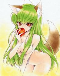 Rule 34 | 1girl, ahoge, animal ears, apple, bad id, bad pixiv id, breasts, c.c., code geass, completely nude, female focus, food, fruit, green hair, hair censor, hair over breasts, izumo neko, nude, red eyes, solo, tail, traditional media, wolf ears, wolf tail