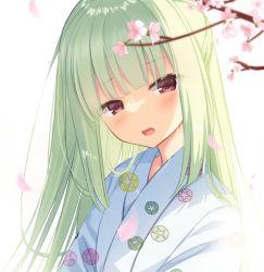 Rule 34 | 1girl, blurry, blurry foreground, branch, cariboy, commentary request, depth of field, floral print, flower, green hair, highres, japanese clothes, kimono, long hair, looking at viewer, murasame (senren), open mouth, petals, pink flower, print kimono, red eyes, senren banka, solo, upper body, white kimono