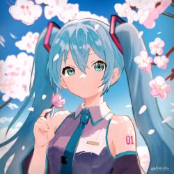 Rule 34 | 1girl, absurdres, blue eyes, blue hair, blue necktie, breasts, cherry blossoms, commentary request, detached sleeves, eyebrows hidden by hair, flower, hatsune miku, highres, holding, holding flower, long hair, necktie, petals, shirt, shoulder tattoo, signature, sleeveless, sleeveless shirt, small breasts, solo, tattoo, twintails, upper body, vocaloid, wakaruwa