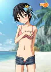Rule 34 | 10s, 1girl, bare shoulders, beach, bikini, black hair, blurry, blush, breasts, brown eyes, collarbone, covering privates, covering breasts, day, denim, denim shorts, embarrassed, groin, hair ornament, hair ribbon, lens flare, looking at viewer, navel, nisekoi, open clothes, open fly, open shorts, palm tree, pink bikini, ribbon, ryunnu, short hair, short shorts, shorts, solo, standing, swimsuit, tree, tsugumi seishirou, unbuttoned, unzipped