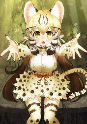 Rule 34 | 1girl, :o, absurdres, animal ear fluff, animal ears, animal print, blonde hair, bow, bowtie, brown hair, carry me, cat ears, cat tail, commentary, deku suke, fang, fingernails, geoffroy&#039;s cat (kemono friends), hair between eyes, hair ribbon, highres, kemono friends, long fingernails, long hair, long sleeves, low twintails, multicolored hair, outstretched arms, panties, pantyshot, print bow, print bowtie, print neckwear, print skirt, print sleeves, print thighhighs, reaching, reaching towards viewer, ribbon, sharp fingernails, shirt, sitting, skin fang, skirt, solo, striped tail, tail, thighhighs, twintails, two-tone hair, underwear, v-shaped eyebrows, very long hair, white ribbon, white shirt, yellow eyes