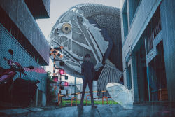 Rule 34 | 1boy, :|, animal, black hair, black pants, black shirt, bowl cut, building, chain-link fence, city, closed mouth, collared shirt, day, fence, fish, fish request, flying fish, grey sky, hands in pockets, highres, hiromumaru, legs apart, long sleeves, looking at viewer, male focus, motor vehicle, original, outdoors, overcast, oversized animal, pants, railroad crossing, rain, scooter, security camera, shirt, short hair, signature, sky, solo, standing, traffic light, transparent, transparent umbrella, umbrella, urban, wide shot