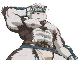 Rule 34 | 1boy, abs, ainu clothes, animal ears, arm behind head, armpit hair, armpits, bara, biceps, bulge, chest hair, crotch, from below, furry, furry male, grey fur, grey hair, headband, horkeu kamui, large pectorals, looking at viewer, male focus, muscular, muscular male, navel, navel hair, nipples, pectorals, pelvic curtain, revealing clothes, rossciaco, scar, scar on arm, scar on chest, solo, stomach, sweatdrop, tail, thick thighs, thighs, tokyo houkago summoners, topless male, two-tone fur, white background, white fur, wolf boy, wolf ears, wolf tail, yellow eyes