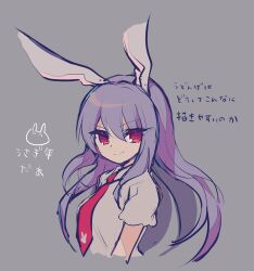 Rule 34 | 1girl, animal ears, chinese zodiac, cropped torso, highres, kozakura (dictionary), long hair, necktie, purple hair, rabbit, rabbit ears, rabbit girl, red eyes, red necktie, reisen udongein inaba, shirt, short sleeves, simple background, smile, solo, touhou, translation request, upper body, white fur, white hair, white shirt, year of the rabbit
