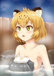 Rule 34 | 10s, 2girls, absurdres, animal ears, bad id, bad pixiv id, bathing, blonde hair, blush, breasts, collarbone, highres, hug, jaguar (kemono friends), jaguar ears, kemono friends, medium breasts, multiple girls, night, night sky, nude, onsen, open mouth, otter ears, outdoors, partially submerged, shiraha maru, sideboob, silver hair, sky, small-clawed otter (kemono friends), star (sky), starry sky, steam, towel, towel on head, upper body, waist hug, water, wet, yellow eyes