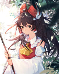 Rule 34 | 1girl, ascot, bare shoulders, black eyes, black hair, blurry, bow, branch, closed mouth, depth of field, detached sleeves, expressionless, frilled bow, frilled hair tubes, frilled shirt collar, frills, hair bow, hair tubes, hakurei reimu, highres, holding, japanese clothes, leaf, light, light rays, long hair, long sleeves, looking at viewer, miko, red bow, red shirt, shirt, solo, tian (my dear), touhou, upper body, wide sleeves, wind, wind lift, yellow ascot
