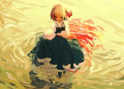 Rule 34 | 1girl, absurdres, black dress, blonde hair, blood, blood from mouth, collared shirt, commentary request, dress, hair ribbon, highres, holding, holding clothes, holding skirt, long sleeves, looking at viewer, puffy long sleeves, puffy sleeves, red ribbon, reflection, ribbon, ripples, rumia, shirt, short hair, skirt, solo, standing, tobenai todo, touhou, water, white shirt