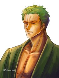 Rule 34 | 1boy, earrings, green hair, jewelry, male focus, muscular, one-eyed, one piece, open collar, roronoa zoro, simple background, solo, yellow eyes