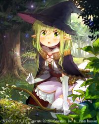 Rule 34 | 1girl, arrow (projectile), bad id, bad pixiv id, blush, bow (weapon), cape, choker, elbow gloves, forest, gloves, green eyes, green hair, hachi kou, hat, itou hachi, log, matching hair/eyes, nature, open mouth, pointy ears, quiver, solo, tenkuu no crystalia, thighhighs, tree, weapon, white gloves, white thighhighs, witch hat