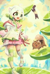 Rule 34 | 1girl, :3, absurdres, ahoge, animal, animal ear legwear, animal ears, asymmetrical legwear, braid, commentary, dog, english commentary, erodozer, ferret, ferret ears, ferret girl, food, fruit, green eyes, green hair, green thighhighs, highres, jacket, laimu (vtuber), lime (fruit), lime slice, long sleeves, looking at another, mismatched legwear, multicolored hair, nail polish, name connection, non porn, open mouth, pink shirt, pomeranian (dog), puffy long sleeves, puffy sleeves, shirt, shoes, short hair, single sock, single thighhigh, socks, solo, splashing, standing, striped clothes, striped thighhighs, tail, thighhighs, two-tone hair, vinesauce, virtual youtuber, water, white footwear, white hair, white jacket, white thighhighs