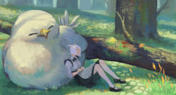 Rule 34 | 1girl, absurdres, animal ears, bad id, bad pixiv id, black footwear, black neckwear, bow, cat ears, chocobo, closed eyes, final fantasy, final fantasy xiv, flower, forest, frills, fungus, grass, highres, jun (5455454541), maid, moss, nature, outdoors, parted lips, short hair, sleeping, tree, white hair, yellow flower