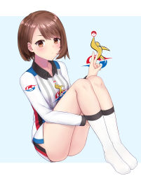 Rule 34 | 1girl, absurdres, blue background, blush, brown hair, closed mouth, commentary request, creatures (company), emblem, full body, game freak, gloria (pokemon), gym challenge uniform, highres, hosh, jersey, kneehighs, knees up, long sleeves, nintendo, no shoes, orange eyes, pokemon, pokemon swsh, short hair, short shorts, shorts, sitting, socks, solo, striped, swept bangs, thighs, two-tone background, v, vertical stripes, white shorts, white socks, wing collar