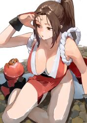 Rule 34 | 1girl, animal, breasts, brown eyes, brown hair, cleavage, collarbone, commentary request, crab, female focus, fingernails, highres, large breasts, matching hair/eyes, ninja, oni gini, partially submerged, pelvic curtain, ponytail, rope, shimenawa, shiranui mai, simple background, sitting, solo, the king of fighters, water, wet, wet clothes, white background