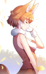 Rule 34 | 1girl, absurdres, animal ears, bad id, bad pixiv id, brown hair, brown shirt, brown skirt, closed eyes, closed mouth, commentary, dhole (kemono friends), dog ears, dog tail, extra ears, from side, gloves, hand in own hair, highres, kemono friends, kemono friends 3, pleated skirt, shirt, short hair, skirt, sleeveless, smile, solo, standing, tail, takom, white gloves