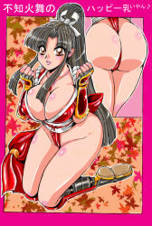 Rule 34 | 1girl, ass, black hair, breasts, fatal fury, large breasts, leotard, ponytail, shiranui mai, snk, solo, thong leotard