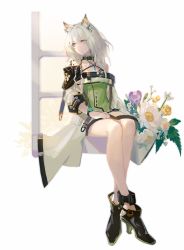 Rule 34 | 1girl, animal ear fluff, animal ears, arknights, backlighting, bare legs, bare shoulders, black footwear, bouquet, closed mouth, collar, commentary request, crossed legs, dress, flower, full body, green dress, green eyes, hand on lap, high heels, highres, kal&#039;tsit (arknights), long hair, looking at viewer, looking to the side, material growth, off-shoulder dress, off shoulder, oripathy lesion (arknights), procreate (medium), samo (shichun samo), see-through, see-through sleeves, simple background, sitting, solo, stethoscope, watch, white background, white hair, wristwatch