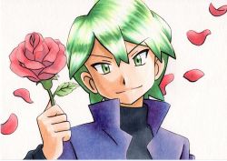 Rule 34 | 1boy, black shirt, closed mouth, commentary request, creatures (company), drew (pokemon), flower, game freak, green eyes, green hair, grey background, hair between eyes, highres, holding, holding flower, jacket, long sleeves, looking at viewer, male focus, nintendo, oka mochi, petals, pokemon, pokemon (anime), pokemon rse (anime), popped collar, purple jacket, red flower, shirt, short hair, smile, solo, split mouth, traditional media, upper body