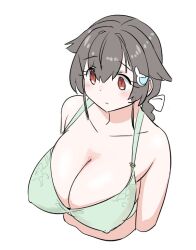 Rule 34 | 1girl, black hair, bra, braid, breasts, cleavage, collarbone, cropped torso, from above, green bra, hair flaps, hair ornament, hairclip, jingei (kancolle), kantai collection, large breasts, long hair, low ponytail, red eyes, simple background, single braid, solo, tamu (mad works), underwear, upper body, white background