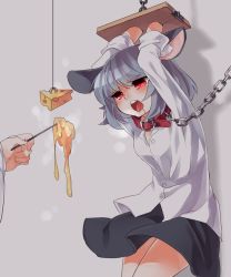Rule 34 | 1girl, animal ears, arms up, bad id, bad pixiv id, bdsm, bondage, bound, chain, cheese, collar, dress shirt, drooling, food, grey hair, highres, koza, kozakura (dictionary), leash, mouse ears, mouse tail, nazrin, open mouth, red eyes, restrained, shirt, short hair, skirt, solo focus, stocks, tail, teasing, torture, touhou