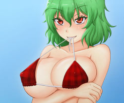 Rule 34 | 1girl, bikini, blush, breast rest, breasts, collarbone, colored eyelashes, covered erect nipples, eyes visible through hair, female focus, gradient background, green hair, grin, highres, holding another&#039;s arm, holding own arm, kazami yuuka, large breasts, looking up, mouth hold, naughty face, ogoro, plaid, plaid bikini, red eyes, short hair, sideboob, smile, solo, string pull, swimsuit, teeth, touhou, tsurime, underboob, untied bikini, upper body
