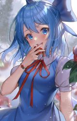 Rule 34 | 1girl, arm up, blue dress, blue eyes, blue hair, blurry, blurry background, breasts, cirno, day, dress, flower, hair between eyes, hair ribbon, head tilt, highres, holding, holding flower, leaf, light blush, looking at viewer, milcona, open mouth, outdoors, overcast, pinafore dress, puffy short sleeves, puffy sleeves, red flower, red neckwear, red ribbon, ribbon, shirt, short hair, short sleeves, sky, sleeveless, sleeveless dress, small breasts, snow, solo, standing, teeth, touhou, tree, upper body, upper teeth only, white shirt, wings, wristband