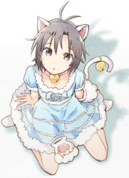 Rule 34 | 1girl, animal ears, animal hands, antenna hair, bad id, bad pixiv id, bell, black eyes, black hair, blue dress, cat ears, cat paws, cat tail, dress, from above, idolmaster, idolmaster (classic), jingle bell, kemonomimi mode, kikuchi makoto, looking at viewer, short hair, solo, tail, tail bell, tail ornament, tanaka (colorcorn)