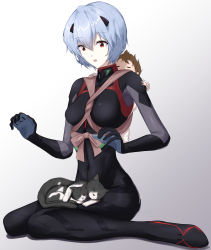 Rule 34 | 2girls, absurdres, animal, animal on lap, ayanami rei, baby, baby carrier, black bodysuit, blue hair, bodysuit, brown hair, carrying, carrying person, cat, cat on lap, commentary, cuddling, curled fingers, evangelion: 3.0+1.0 thrice upon a time, full body, gradient background, grey cat, hair between eyes, hand on another&#039;s shoulder, highres, holding baby, interested, interface headset, looking at animal, looking down, messy hair, multiple girls, neon genesis evangelion, on lap, outstretched hand, pale skin, parted lips, plugsuit, raised eyebrows, rebuild of evangelion, short hair, sitting, sleeping, solo focus, surprised, suzuhara tsubame, wariza, white background, white cat