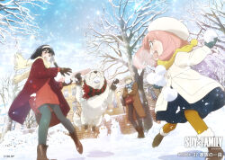 Rule 34 | 1boy, 2girls, anya (spy x family), bond (spy x family), day, dog, father and daughter, great pyrenees, happy, holding snowball, husband and wife, mother and daughter, multiple girls, official alternate costume, official art, scarf, snow, snowball, snowball fight, snowing, snowman, spy x family, twilight (spy x family), white dog, yor briar