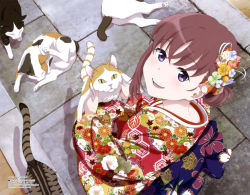Rule 34 | 1girl, absurdres, animal, animal print, blush, brown hair, butterfly print, calico, cat, floral print, fur, hair ribbon, highres, holding, holding animal, holding cat, japanese clothes, just because!, kimono, looking at viewer, megami deluxe, natsume mio, official art, open mouth, outdoors, pink ribbon, print kimono, print sash, print ribbon, purple eyes, red kimono, ribbon, seiza, shikibu miyoko, sitting, smile, yellow eyes