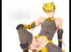 Rule 34 | 1boy, abs, antennae, bare shoulders, bee, blonde hair, blue eyes, boots, bottomless, bug, censored, elbow gloves, flaccid, fur trim, gloves, gradient background, insect, male focus, muscular, nipples, penis, personification, pubic hair, see-through, short hair, solo, thighhighs, white background, wings
