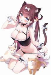 Rule 34 | 1girl, animal ears, ayamy, ayamy (vtuber), bare arms, bare legs, bare shoulders, barefoot, bell, black choker, black panties, black shirt, blue eyes, blush, breasts, bridal garter, brown hair, cat, cat ears, cat girl, cat tail, choker, cleavage, commentary, crop top, extra ears, fang, frilled shirt, frills, hair ornament, hand up, highres, indie virtual youtuber, jingle bell, large breasts, long hair, looking at viewer, medium breasts, navel, no pants, open mouth, panties, ribbon choker, seiza, shirt, side-tie panties, simple background, sitting, sleeveless, sleeveless shirt, solo, stomach, string panties, tail, thighs, twintails, underwear, untied panties, very long hair, virtual youtuber, white background, wrist cuffs