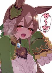 Rule 34 | animal ears, blush, breasts, brown eyes, brown hair, check translation, commentary request, dress, frilled sleeves, frills, gem, hair ornament, hanauna, heavy breathing, highres, horse ears, large breasts, long hair, long sleeves, looking at viewer, naughty face, open mouth, portrait, satono diamond (umamusume), translation request, umamusume, white background