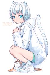 Rule 34 | 1girl, 2022, animal print, blue eyes, blunt bangs, chinese zodiac, closed mouth, elbows on knees, hood, hoodie, light smile, looking at viewer, makino (sinobusan), original, own hands together, shoes, short hair, short shorts, short socks, shorts, sneakers, solo, squatting, striped tail, tail, tiger, tiger girl, tiger print, tiger tail, white hair, year of the tiger