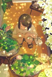 Rule 34 | 1girl, bandaid, closed eyes, closed mouth, dappled sunlight, flower, flower pot, from above, hair ornament, hairclip, hands on own knees, highres, japanese rice fish, kayari buta, matsumine (twin-mix), original, sandals, shirt, squatting, sunlight, watering can, white shirt