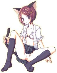 Rule 34 | 1girl, animal ears, blush, blush stickers, bra, brown eyes, brown hair, cat ears, cat tail, female focus, full body, hair ornament, hairpin, holding, holding with tail, kneehighs, legs, looking at viewer, matching hair/eyes, navel, no shoes, open clothes, open shirt, panties, plaid, plaid skirt, pleated skirt, prehensile tail, pussy, shirt, short hair, simple background, sitting, skirt, socks, solo, spread legs, tail, thighs, underwear, white background, white bra, white panties