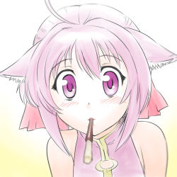 Rule 34 | 10s, 1girl, ahoge, animal ears, bare shoulders, blurry, blush, depth of field, dog days, dog girl, feeding, food, incoming kiss, looking at viewer, millhiore f. biscotti, mouth hold, pink eyes, pink hair, pocky, pocky kiss, pov feeding, shared food, sharing food, solo, tareme, ueyama michirou, wide-eyed