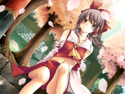 Rule 34 | 1girl, ascot, bad id, bad pixiv id, bare legs, blurry, blush, bow, breasts, brown eyes, brown hair, cherry blossoms, depth of field, detached sleeves, dutch angle, female focus, hair bow, hair tubes, hakurei reimu, highres, japanese clothes, legs, lens flare, looking at viewer, looking down, medium breasts, midriff, miko, navel, petals, sarashi, short hair, sitting, solo, staring, touhou, tree, wallpaper, wind, yana mori