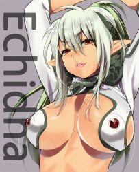 Rule 34 | 1girl, armor, arms up, breasts, character name, cleavage, dyed bangs, echidna (queen&#039;s blade), echidna (queen's blade), elf, female focus, green hair, hobby japan, large breasts, lipstick, long hair, looking at viewer, makeup, multicolored hair, musyasabu, pointy ears, ponytail, queen&#039;s blade, queen&#039;s blade lost worlds, red eyes, smile, solo, two-tone hair, veteran mercenary echidna