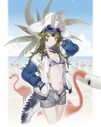 Rule 34 | 1girl, absurdres, arknights, arm up, beach, bestramos, bikini, bird, blue sky, breasts, cloud, commentary request, cropped legs, day, eyewear on head, flamingo, gavial (arknights), gavial the invincible (arknights), gavial the invincible (holiday) (arknights), green hair, grey shorts, hand in pocket, highres, jacket, long hair, looking at viewer, navel, official alternate costume, open clothes, open fly, open jacket, palm tree, short shorts, shorts, sky, small breasts, smile, solo, standing, stomach, sunglasses, swimsuit, thighs, tree, white headwear, yellow eyes