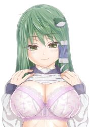 Rule 34 | 1girl, blush, bow, bow bra, bra, breasts, cleavage, clothes lift, frog hair ornament, green eyes, green hair, hair ornament, hair tubes, huge breasts, karasawa-40, kochiya sanae, lace, lace-trimmed bra, lace trim, lingerie, long hair, looking at viewer, matching hair/eyes, pink bra, sailor collar, shirt, shirt lift, simple background, smile, solo, touhou, underwear, upper body