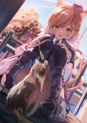 Rule 34 | 1girl, absurdres, animal, animal ears, arknights, black footwear, black hat, black legwear, black necktie, black shirt, blush, boots, calico, calico cat, cat, cat ears, cat girl, cat tail, cat teaser, dutch angle, eiffel tower, fang, fence, green eyes, hat, highres, holding, mini hat, mousse (arknights), multiple tails, necktie, open mouth, outdoors, shirt, short hair, skin fang, solo, squatting, tail, takashima shoa