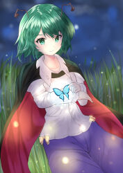 Rule 34 | 1girl, animal, antennae, black cape, blue pants, bug, butterfly, cape, closed mouth, collared shirt, cowboy shot, firefly, green eyes, green hair, hair between eyes, highres, insect, long sleeves, nyarocks, pants, red cape, shirt, short hair, smile, solo, touhou, white shirt, wriggle nightbug