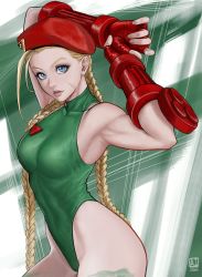Rule 34 | 1girl, absurdres, ai shou, armpits, arms up, artist name, bare shoulders, beret, blonde hair, blue eyes, braid, breasts, cammy white, camouflage, commentary, covered collarbone, facial scar, fingerless gloves, fingernails, gloves, green leotard, hat, highleg, highleg leotard, highres, leotard, lips, long hair, looking at viewer, medium breasts, scar, scar on cheek, scar on face, signature, simple background, sleeveless, street fighter, street fighter ii (series), thighs, turtleneck, twin braids