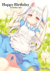 Rule 34 | 00s, 1girl, alice in wonderland, animal ears, apron, artist name, bad id, bad pixiv id, blue dress, blush, buttons, clover, clover (flower), crying, dress, dungeon and fighter, flower, four-leaf clover, frilled apron, frills, gluteal fold, goyain, happy birthday, heart button, long hair, looking at viewer, panties, pantyshot, pointy ears, rabbit ears, red eyes, solo, tears, thigh gap, underwear, white hair