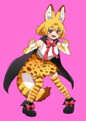 Rule 34 | 1girl, absurdres, alternate eye color, animal ear fluff, animal ears, black cape, black footwear, blonde hair, blush, bow, cape, commentary, elbow gloves, extra ears, fangs, footwear bow, full body, gloves, hair between eyes, high-waist skirt, highres, kemono friends, looking at viewer, oogushi aritomo, open mouth, pink background, print gloves, print skirt, print thighhighs, red bow, red eyes, serval (kemono friends), serval print, shirt, shoes, short hair, simple background, skirt, sleeveless, sleeveless shirt, solo, tail, thighhighs, vampire costume, white shirt, zettai ryouiki