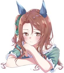 Rule 34 | 1girl, :t, animal ears, blush, brown eyes, brown hair, commentary, cropped torso, frilled shirt, frills, green shirt, ha (hura76752775), highres, horse ears, horse girl, king halo (umamusume), long hair, one side up, parted lips, shirt, short sleeves, simple background, solo, umamusume, upper body, white background