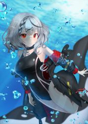 Rule 34 | 1girl, absurdres, air bubble, black hair, breasts, bubble, choker, commentary request, competition swimsuit, grey hair, hair ornament, hairclip, heart, heart choker, highres, hololive, holox, jacket, multicolored hair, off shoulder, one-piece swimsuit, orca, red eyes, sakamata chloe, smile, solo, streaked hair, surgate matias, swimsuit, underwater, virtual youtuber