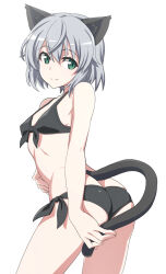 Rule 34 | 1girl, animal ears, ass, bikini, black bikini, blush, breasts, butt crack, cat ears, cat girl, cat tail, closed mouth, green eyes, grey hair, looking at viewer, nanashino, sanya v. litvyak, short hair, side-tie bikini bottom, simple background, small breasts, smile, solo, strike witches, swimsuit, tail, white background, world witches series