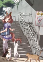 Rule 34 | 1girl, animal ears, bag, brown footwear, brown hair, calico, cat, closed mouth, day, ear covers, frilled skirt, frills, highres, horse ears, horse girl, horse tail, looking back, medium hair, miniskirt, nice nature (umamusume), on stairs, outdoors, playing with another&#039;s tail, pleated skirt, puffy short sleeves, puffy sleeves, purple shirt, railing, sailor collar, satomura kyou, school bag, school uniform, shirt, shoes, short sleeves, sign, skirt, solo, stairs, standing, tabby cat, tail, thighhighs, tracen school uniform, twintails, umamusume, walking, white cat, white sailor collar, white skirt, white thighhighs